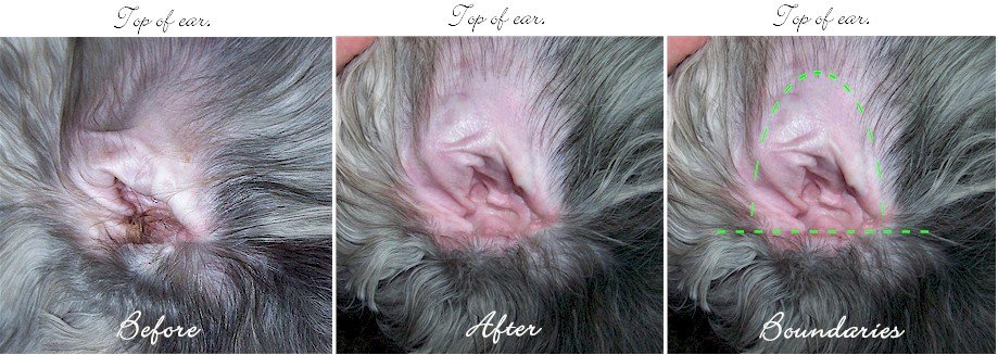 Dog ear discount hair plucking tool