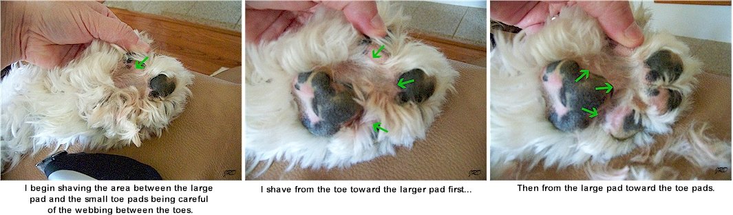 dog paw fur trimmer